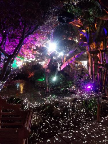 Winter evening visit to Leonardslee Gardens - Leila P