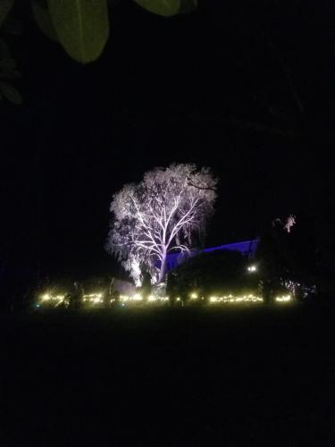 Leila's trip to Leonardslee Gardens