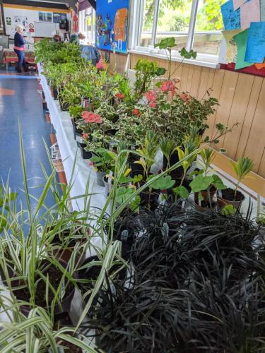 2023 plant sale
