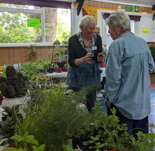 2023 plant sale