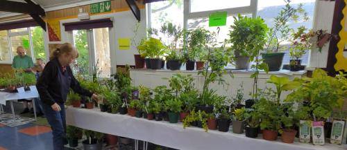 2023 plant sale