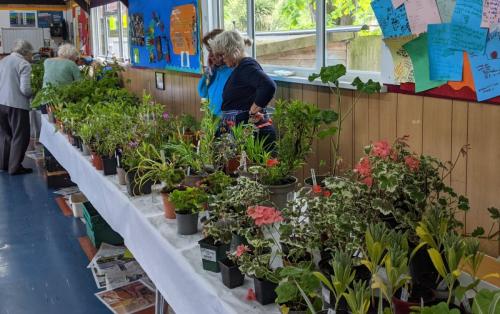 2023 plant sale