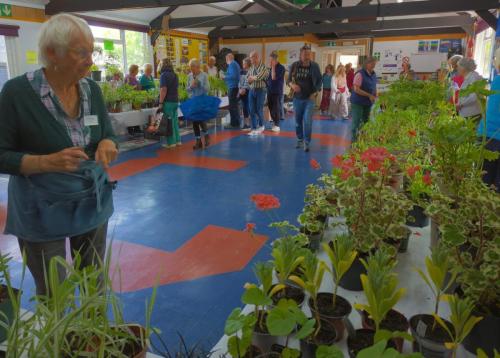 2023 plant sale