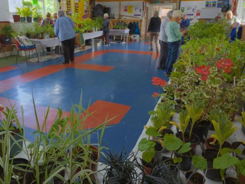 2023 plant sale