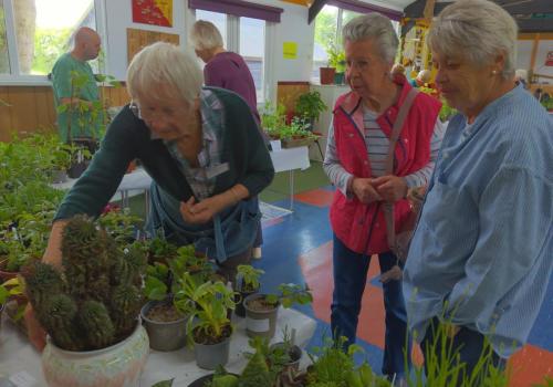 2023 plant sale