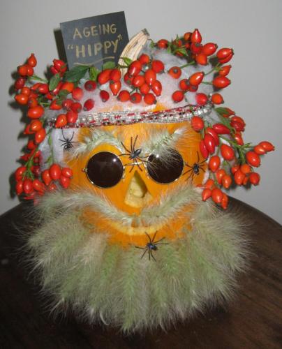 Ageing Hippy