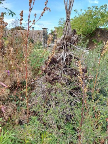 Bug hotel wigwam at Wakehurst by Marion K