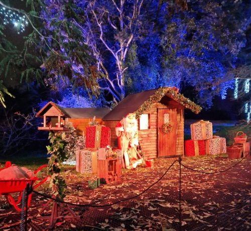 Christmas at Kew 2 by Caroline B