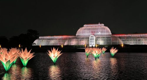 Christmas at Kew 2 by Lucy W