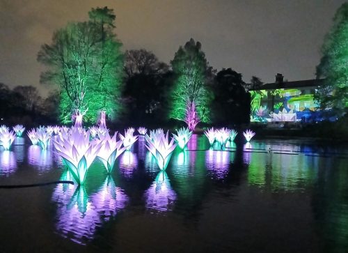 Christmas at Kew 2 by Sue H