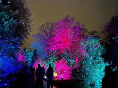Christmas at Kew 3 by Lucy W
