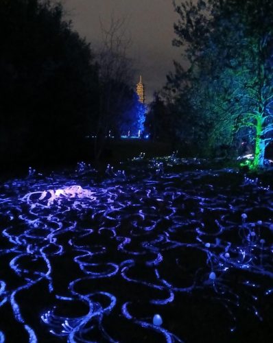 Christmas at Kew 3 by Sue H