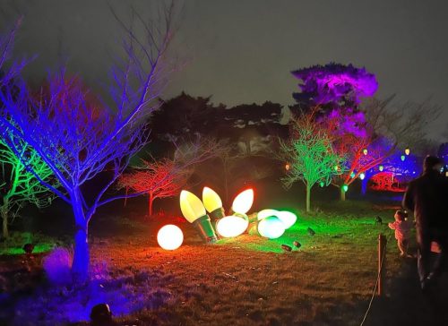 Christmas at Kew 4 by Lucy W