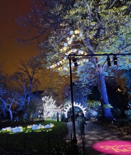 Christmas at Kew by Caroline B