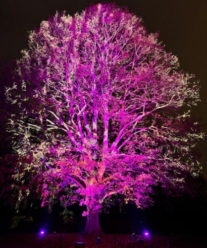 Christmas at Kew by Lucy W