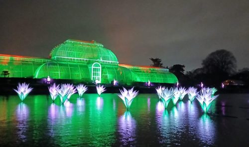 Christmas at Kew by Sue H