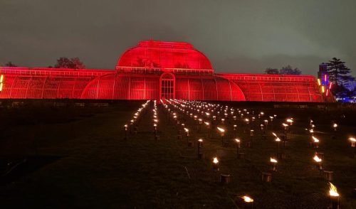 Christmas at Kew by Wendy M