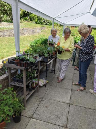 Customers at Jenny T's plant sale