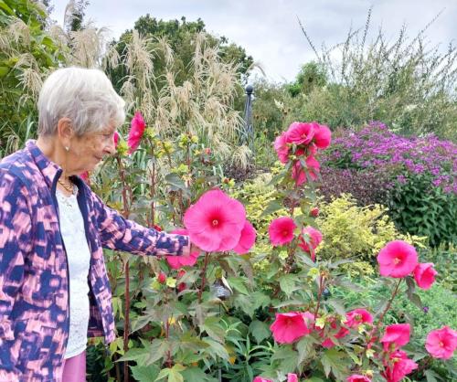 Giant Hibiscus at RHS Wisley by Marion K