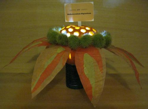Halloweenium Giganteum