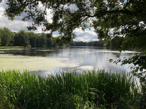 Lullingstone Castle outing