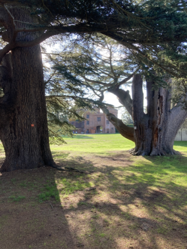 Lullingstone Castle outing