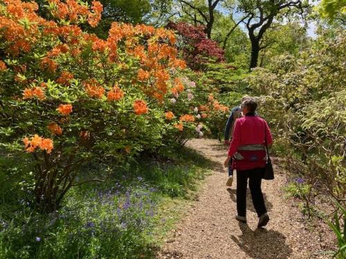 Exbury flora by Chris R