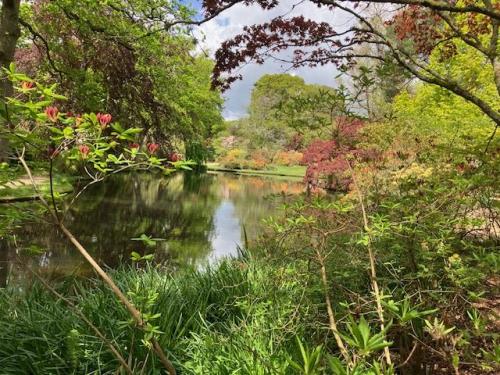 Exbury flora by Chris R