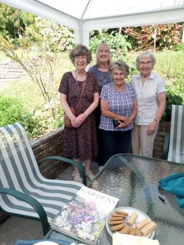 Jenny T's garden visitors