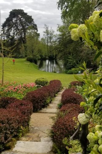 Lake at Pashley Manor by Leila P