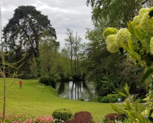 Lake at Pashley Manor cropped by Leila P
