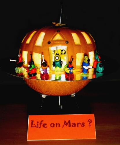 Life on Mars
