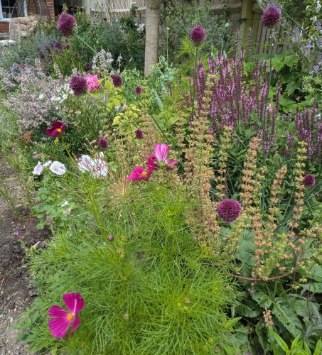 Lynwood front garden 02