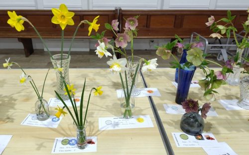 March single stem competition entries
