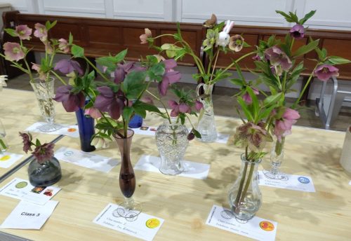 March Helibore competition entries
