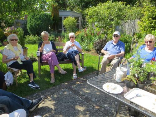 Marion's garden visitors June