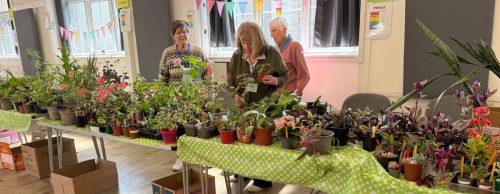 Plant sale 01