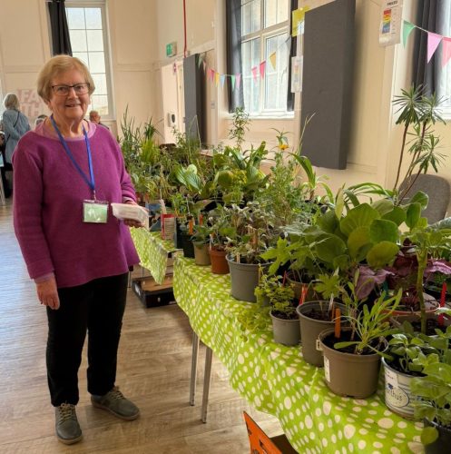 Plant sale 03