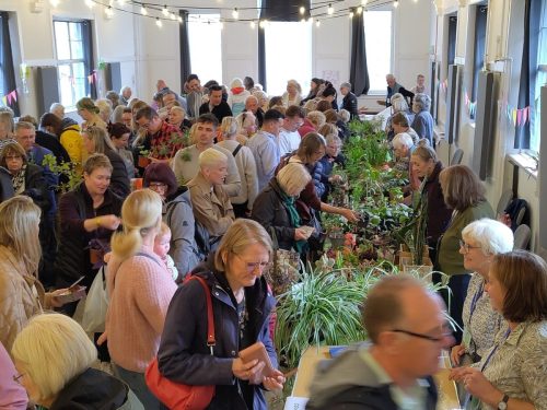 Plant sale 04