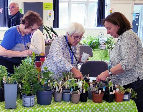 Plant sale pricing the plants 01