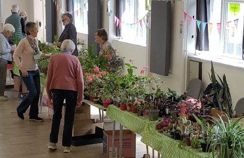 Plant sale setting up 01