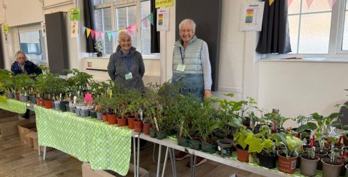 Plant sale vegetable stall