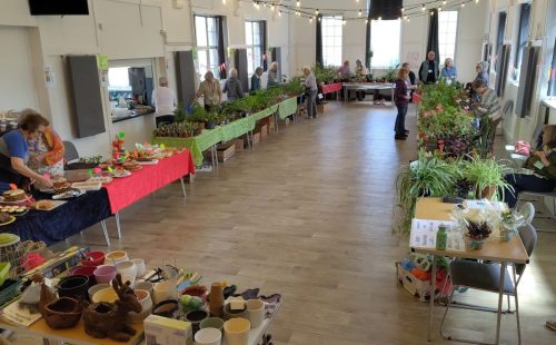 Plant sale waiting for punters