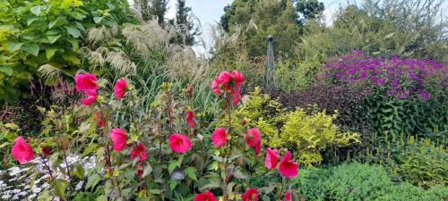 RHS Wisley 02 by Maria G.jpg