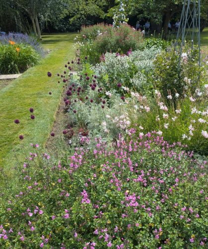 Saffrons garden 02