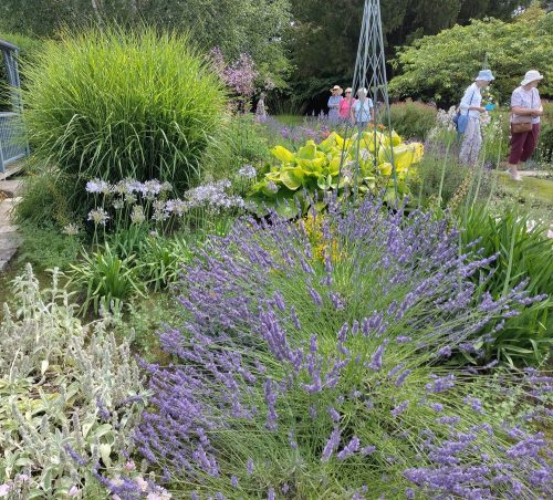 Saffrons garden summer house border