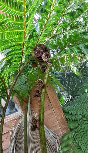 Visit to Big Plant nursery 03 by Leila P