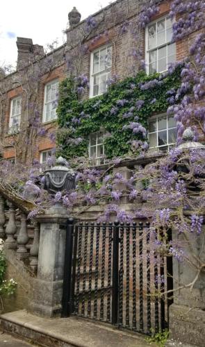 Wisteria at Pashley Manor by Leila P
