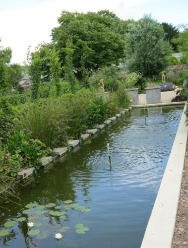 Formal pond at One Garden by Marilyn H