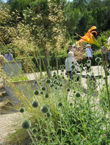 Hot & Dry garden at One Garden 2 by Marilyn H